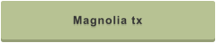 Magnolia tx