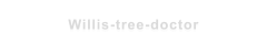 Willis-tree-doctor