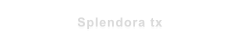 Splendora tx