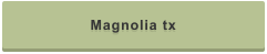 Magnolia tx