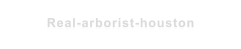 Real-arborist-houston