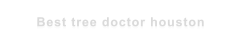 Best tree doctor houston